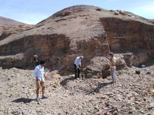 Geological trip, Epic Zagora Tours - Fossil Tours & Travel Experience, geological tour, camels, morocco desert tour