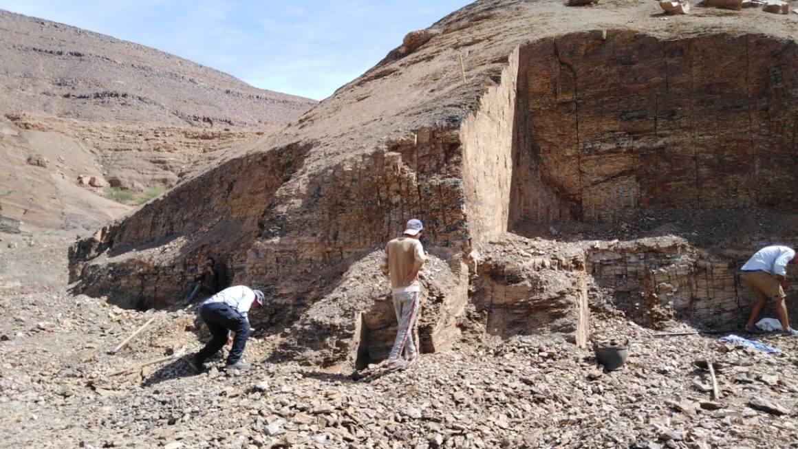 Fossils tour, Epic Zagora Tours - Fossil Tours & Travel Experience, geological tour, camels, morocco desert tour