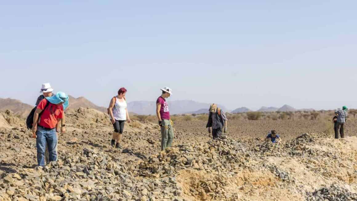 Fossils through Morocco and trolibite sites in Alnif