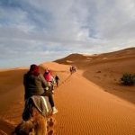 Epic Zagora Tours - Fossil Tours & Travel Experience, geological tour