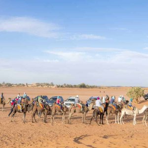 epic zagora tours, geological tours, fossil tour