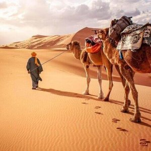 epic zagora tours tours, tours to merzouga desert